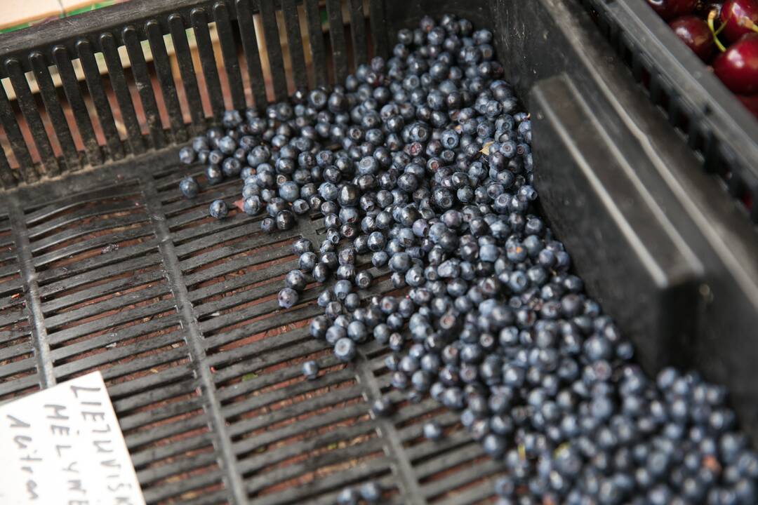 Grybų ir uogų perdirbėjai dėl karo prarado iki 80 proc. produkcijos