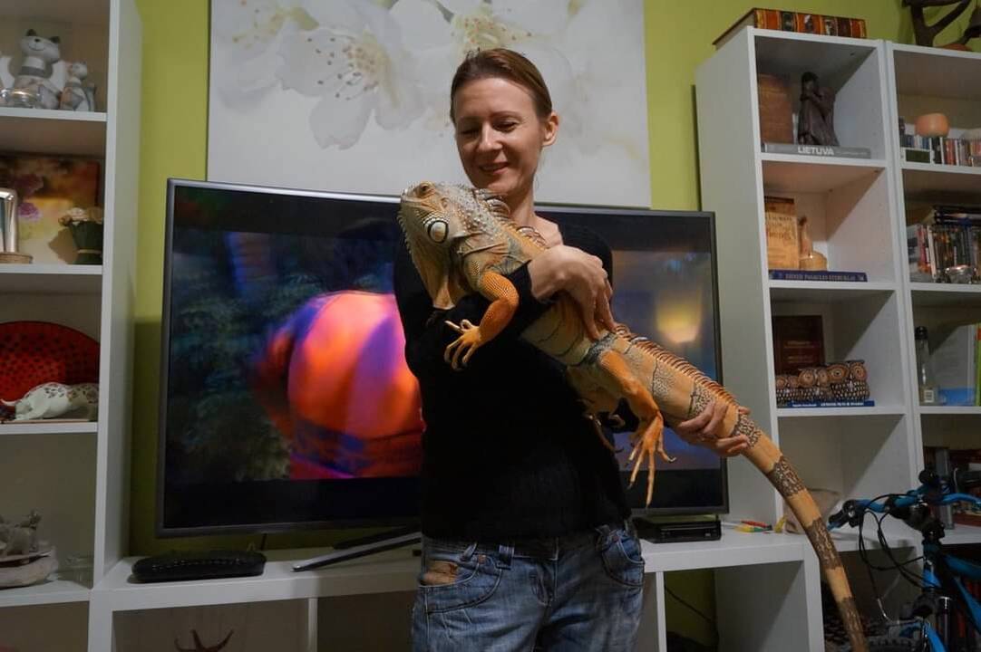 Požiūris: I. Doršienė stebina aplinkinius savo neįprastu pasirinkimu auginti namuose reptiliją, tačiau tikina, kad iguanos jai – labai gražios.
