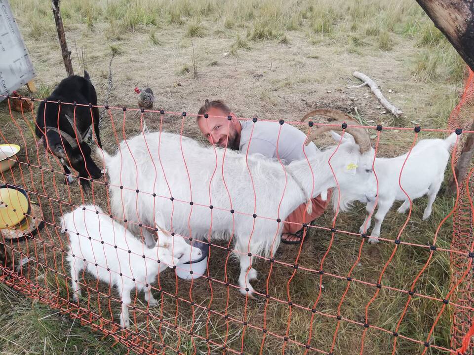 Tikslas: penkis vaikus auginančių Justės ir Dovydo šeimos stiprybės pamatas – tikėjimas, kad reikia gyventi taip, jog visi šeimoje jaustųsi laimingi.
