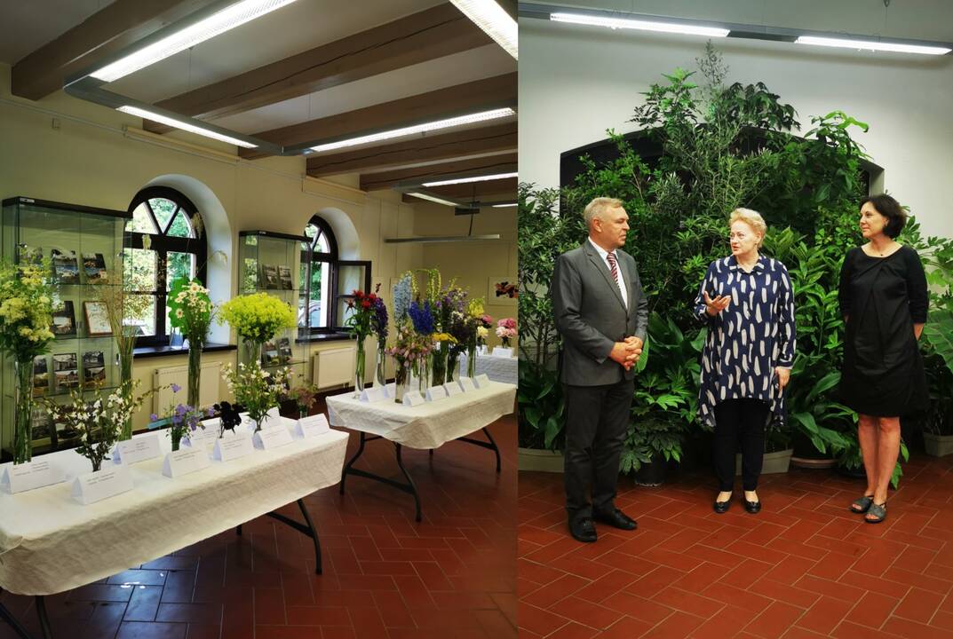 A. Skridaila, D. Grybauskaitė ir A. Dobkevičiūtė