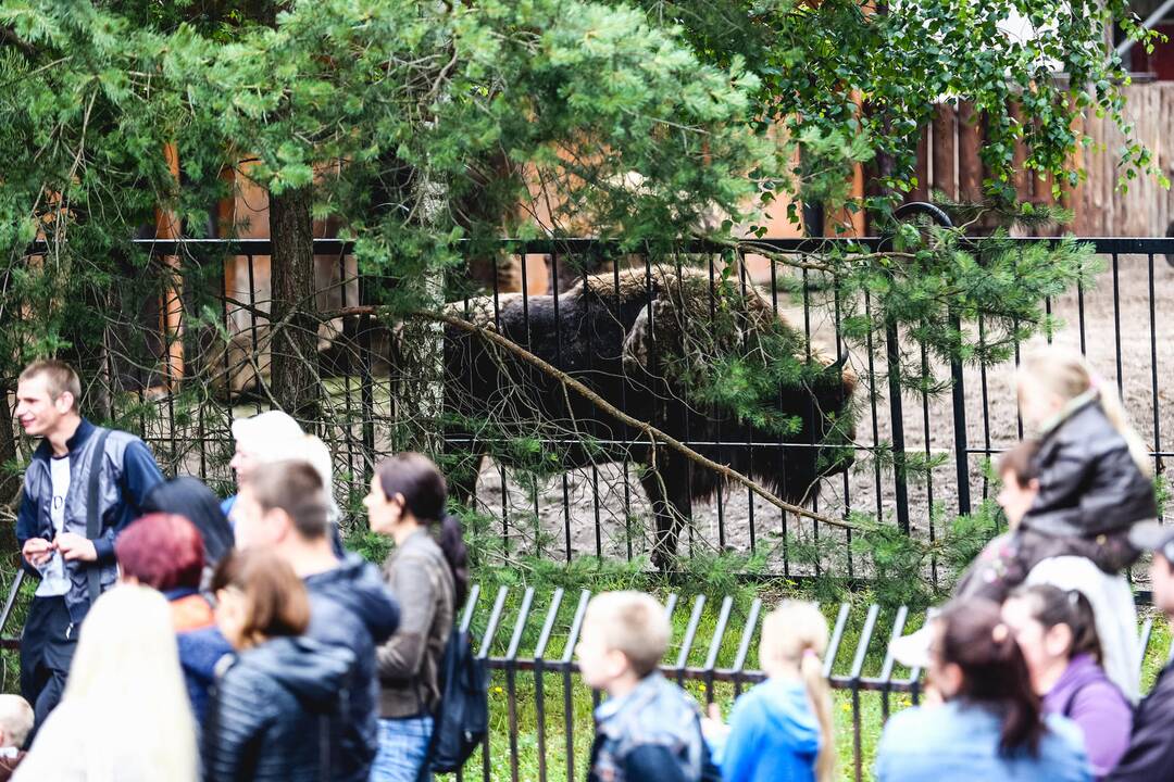 Lietuvos zoologijos sodo gimtadienis