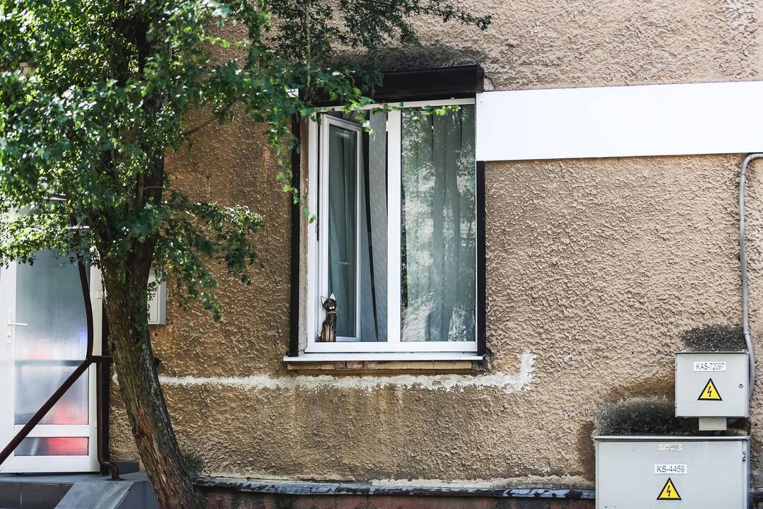 Kaune degė odontologijos kabinetas