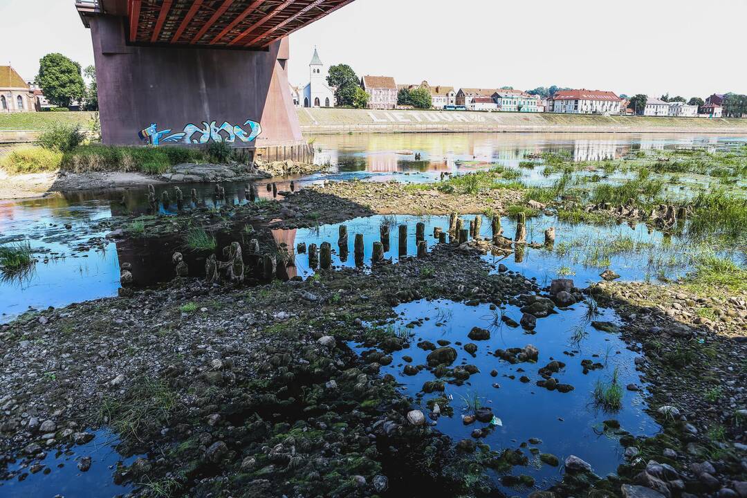 Nusekęs Nemunas