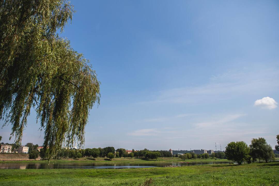 Nusekęs Nemunas