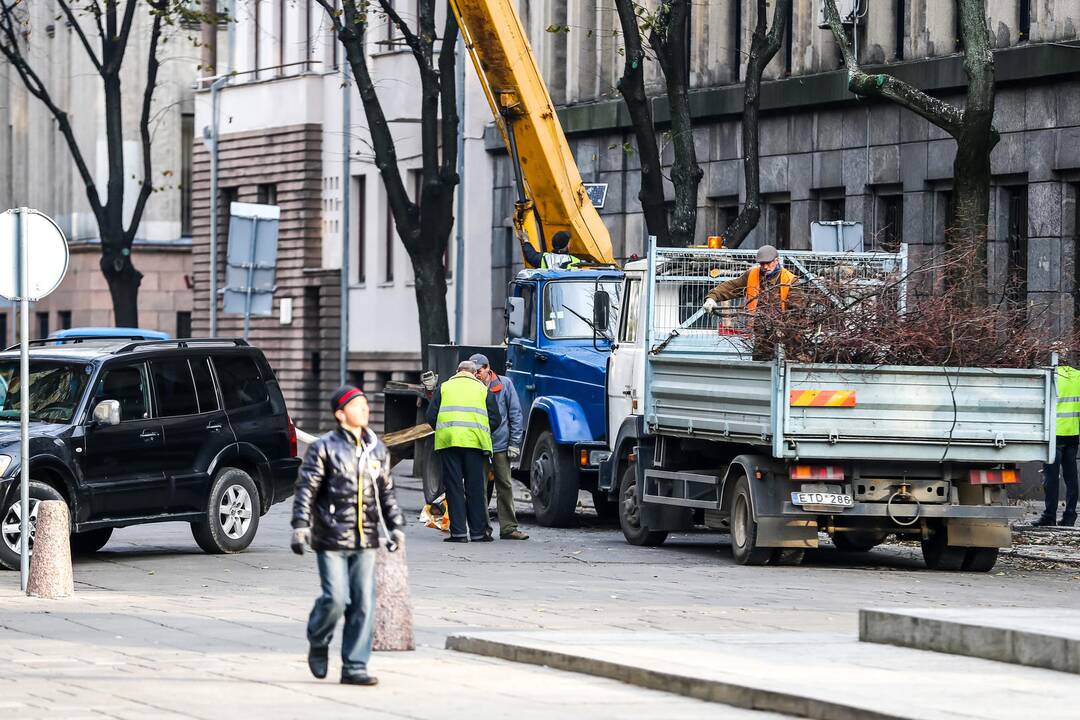 L. Sapiegos gatvėje genėjami medžiai