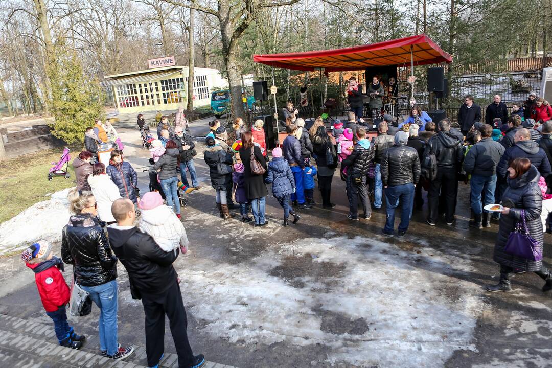 "Asiliuko Užgavėnės" Lietuvos zoologijos sode