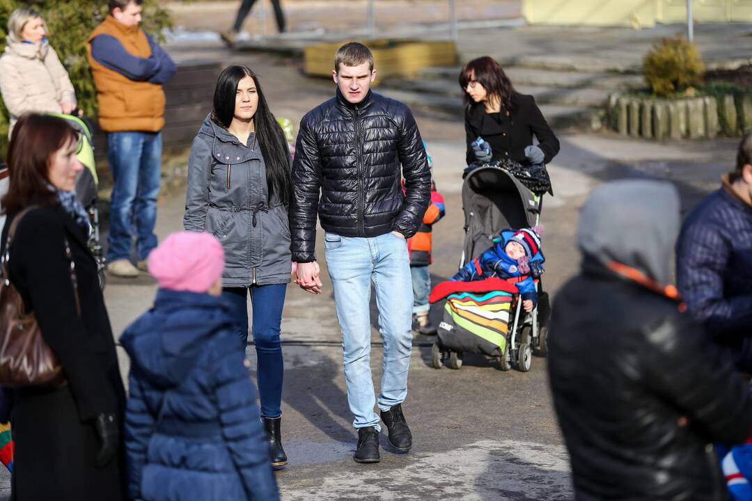 "Asiliuko Užgavėnės" Lietuvos zoologijos sode