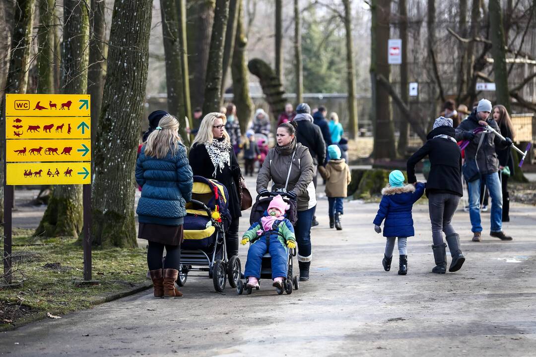 "Asiliuko Užgavėnės" Lietuvos zoologijos sode