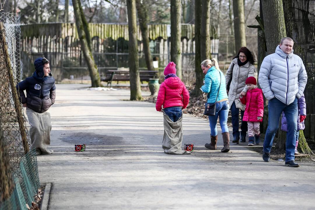 "Asiliuko Užgavėnės" Lietuvos zoologijos sode