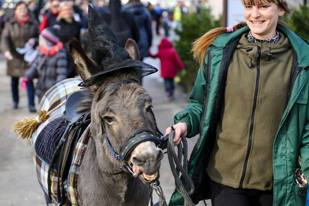 "Asiliuko Užgavėnės" Lietuvos zoologijos sode