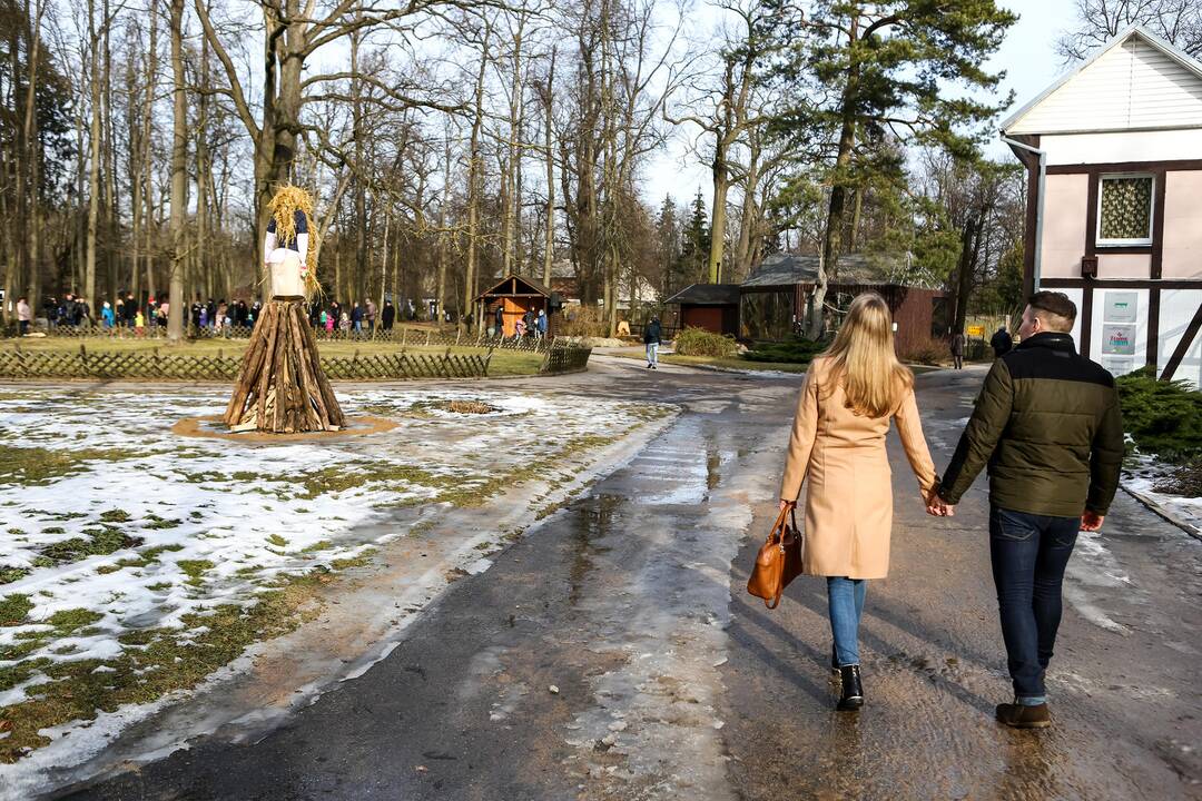 "Asiliuko Užgavėnės" Lietuvos zoologijos sode