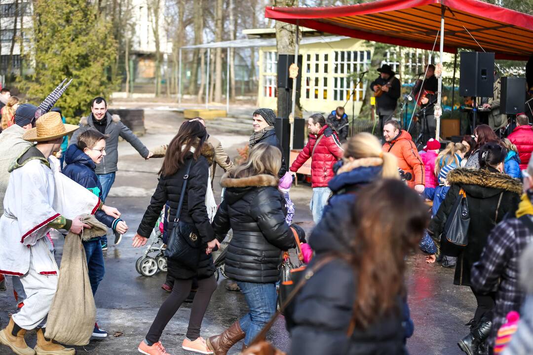 "Asiliuko Užgavėnės" Lietuvos zoologijos sode