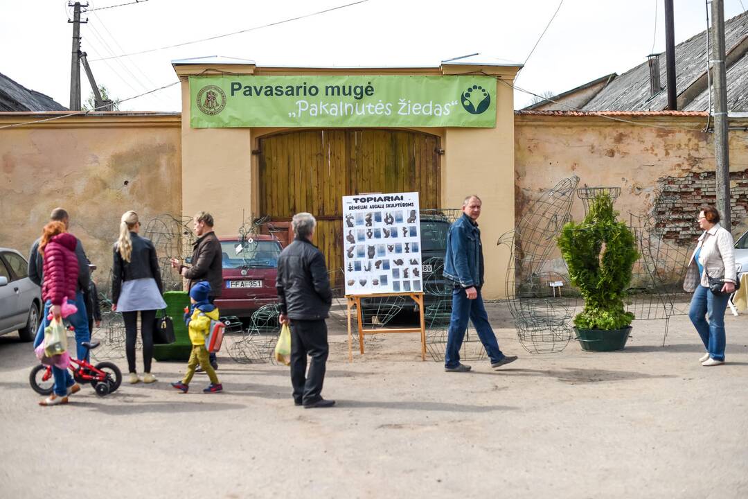 Pavasario mugė Kauno botanikos sode