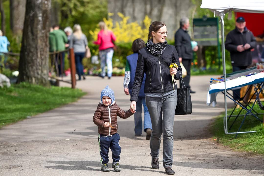 Pavasario mugė Kauno botanikos sode