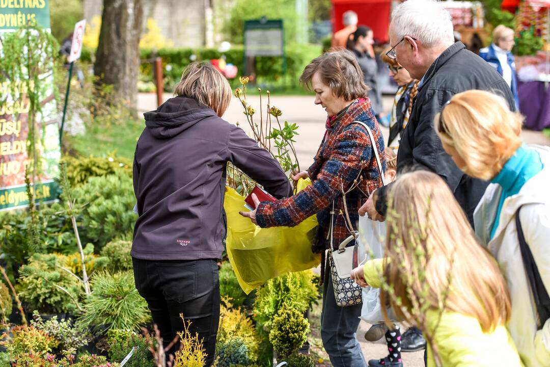 Pavasario mugė Kauno botanikos sode