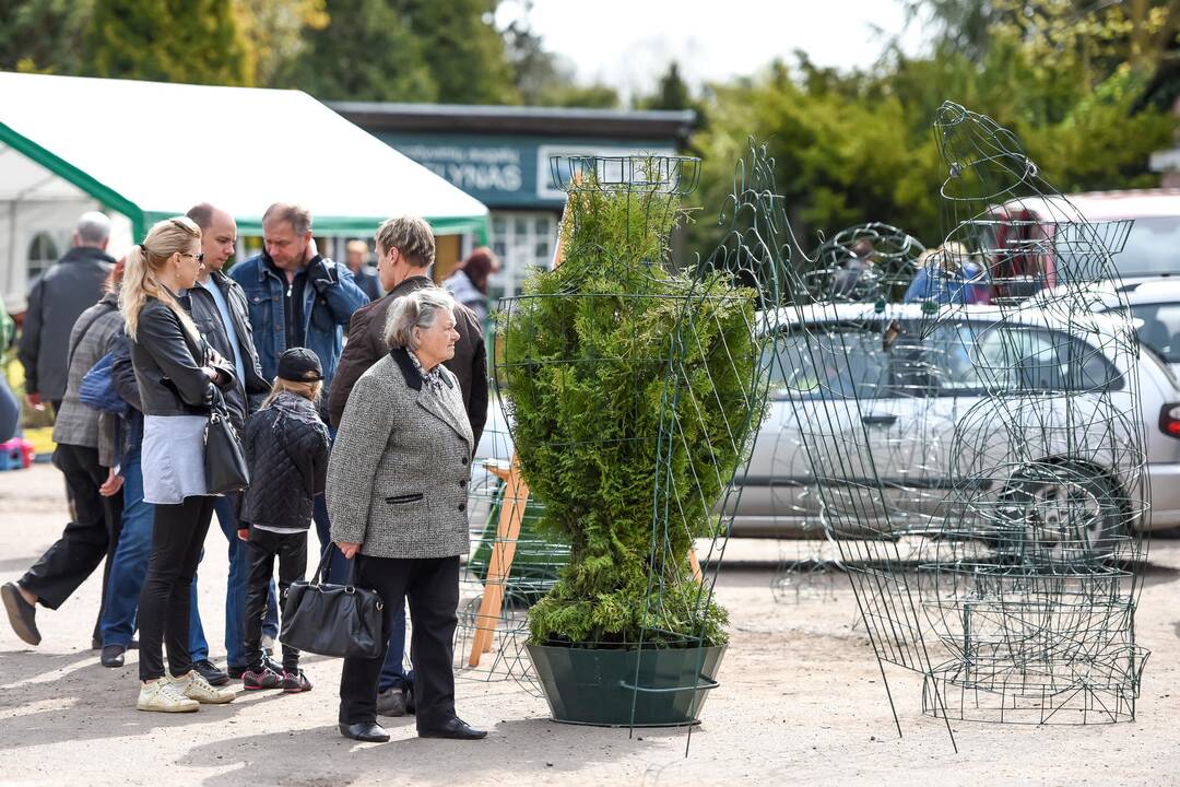 Pavasario mugė Kauno botanikos sode