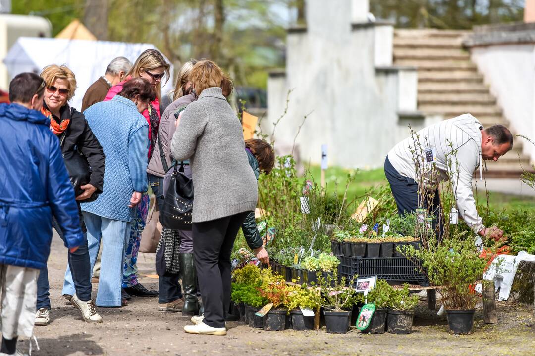Pavasario mugė Kauno botanikos sode