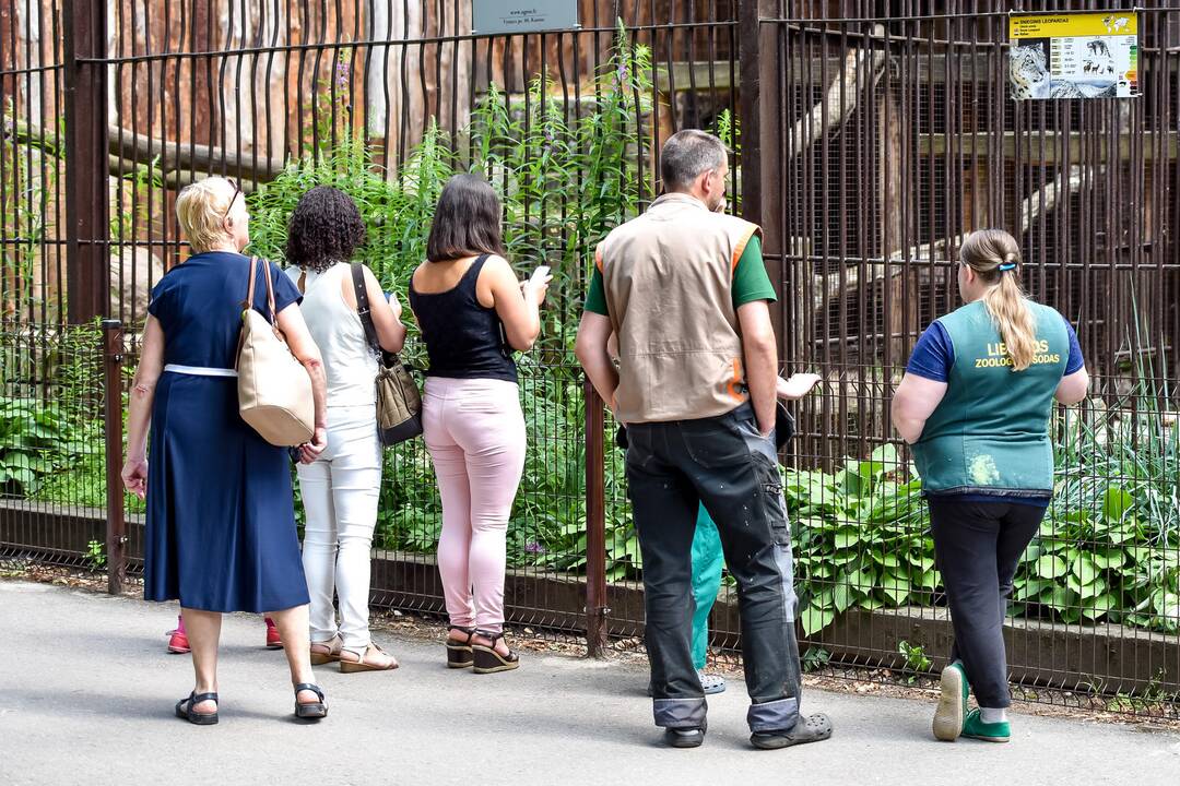 Zoologijos sodo gimtadienis