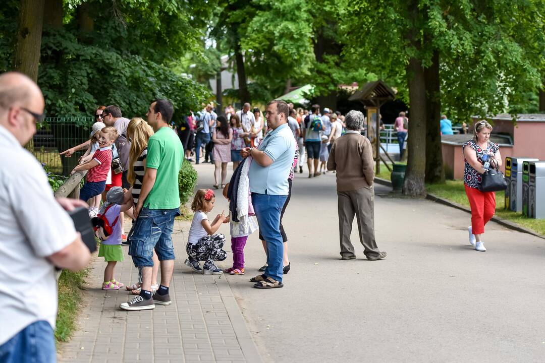 Zoologijos sodo gimtadienis
