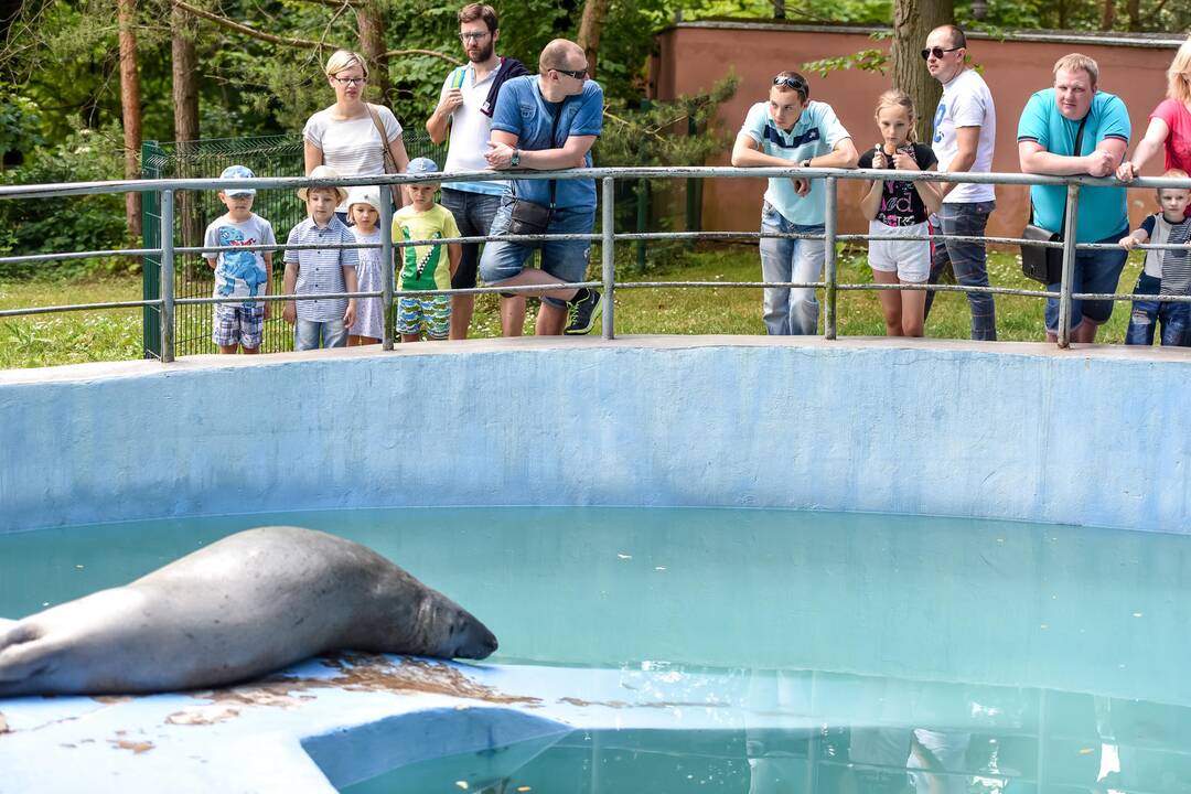 Zoologijos sodo gimtadienis