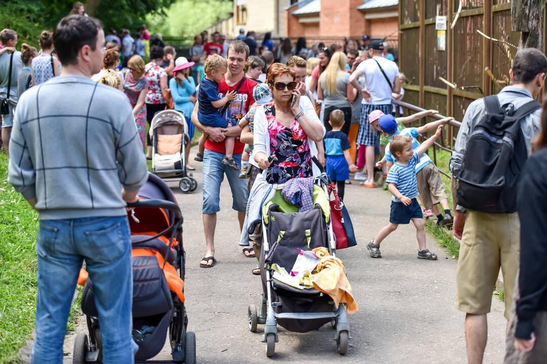 Zoologijos sodo gimtadienis