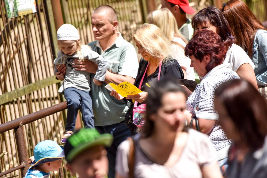 Zoologijos sodo gimtadienis