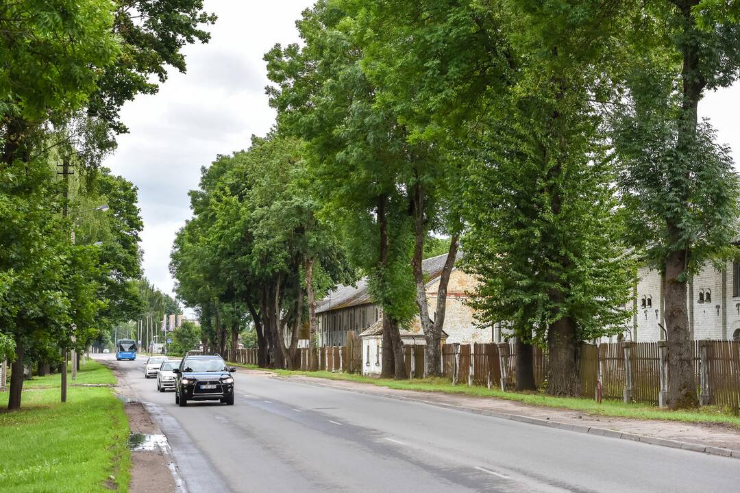 H. ir O. Minkovskių gatvė