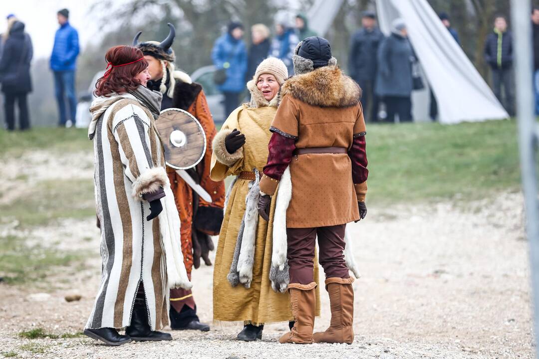 Vikingų laivai Zapyškyje
