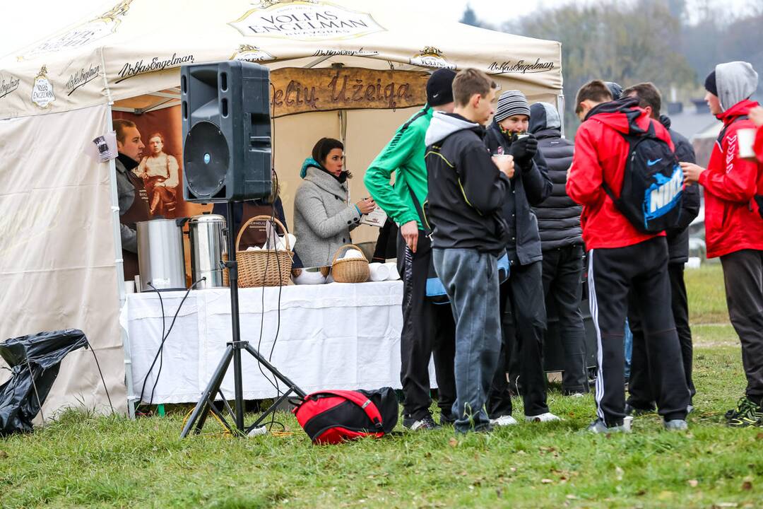 Vikingų laivai Zapyškyje