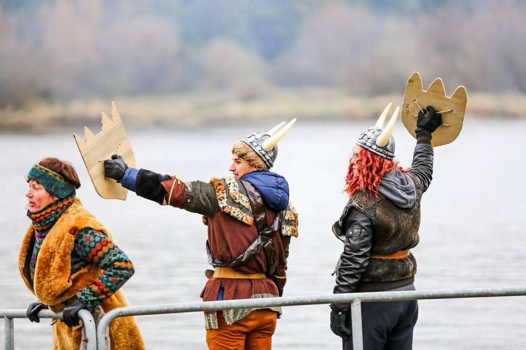 Vikingų laivai Zapyškyje