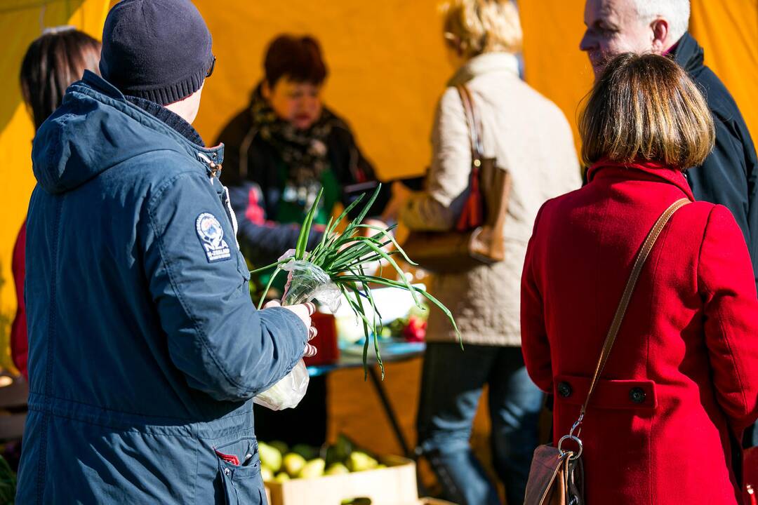 Ūkininkų turgus prie Kauno pilies