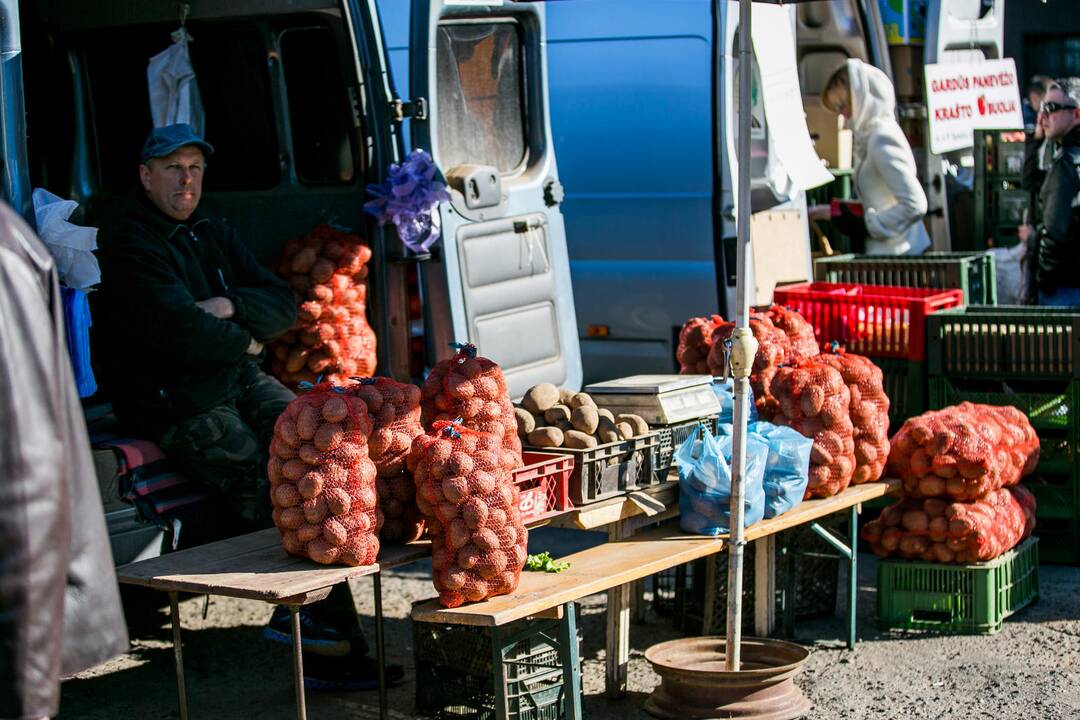 Ūkininkų turgus prie Kauno pilies