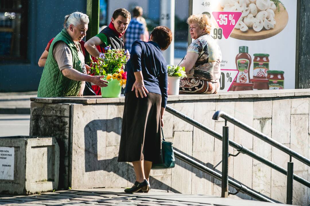 Pardavinėjamų pakalnučių inspektoriai nepastebi