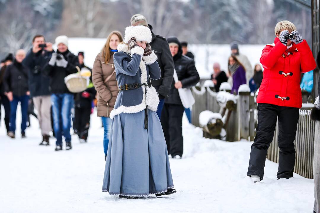Prancūzų atsitraukimo iš Maskvos inscenizacija Rumšiškėse