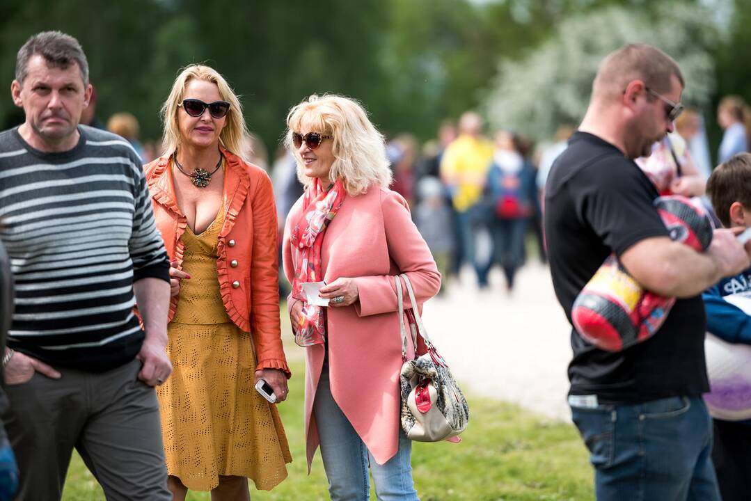 Kauno Hanza dienos 2015