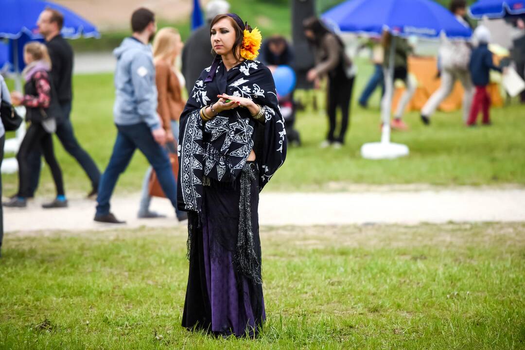 Kauno Hanza dienos 2015