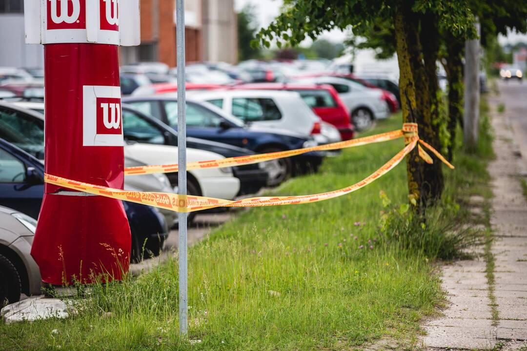 Aptvertas kirų lizdas Draugystės g.