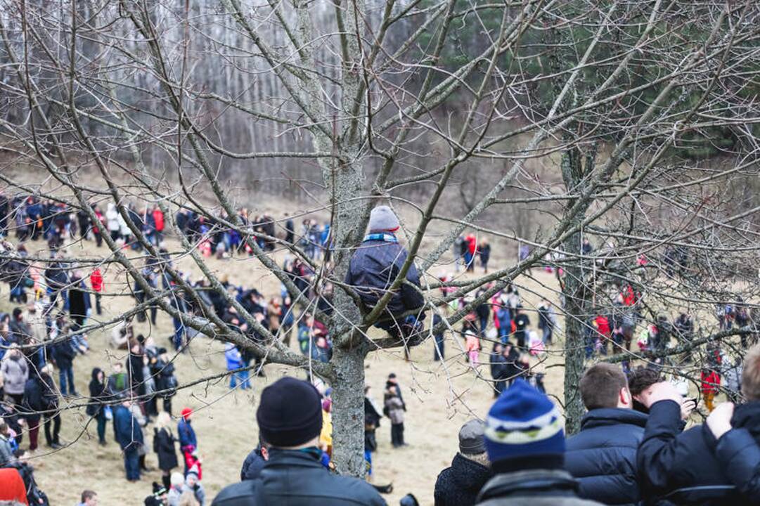 Užgavėnės Rumšiškėse