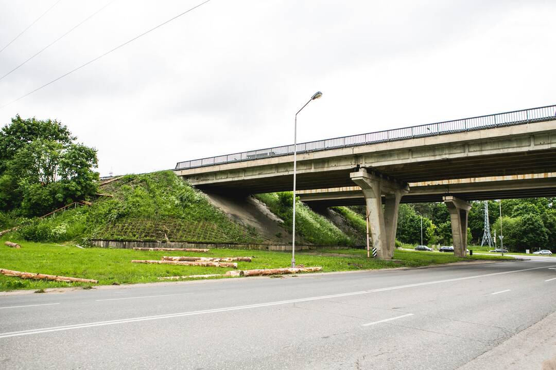 Kaune vilkikas išbarstė rąstus