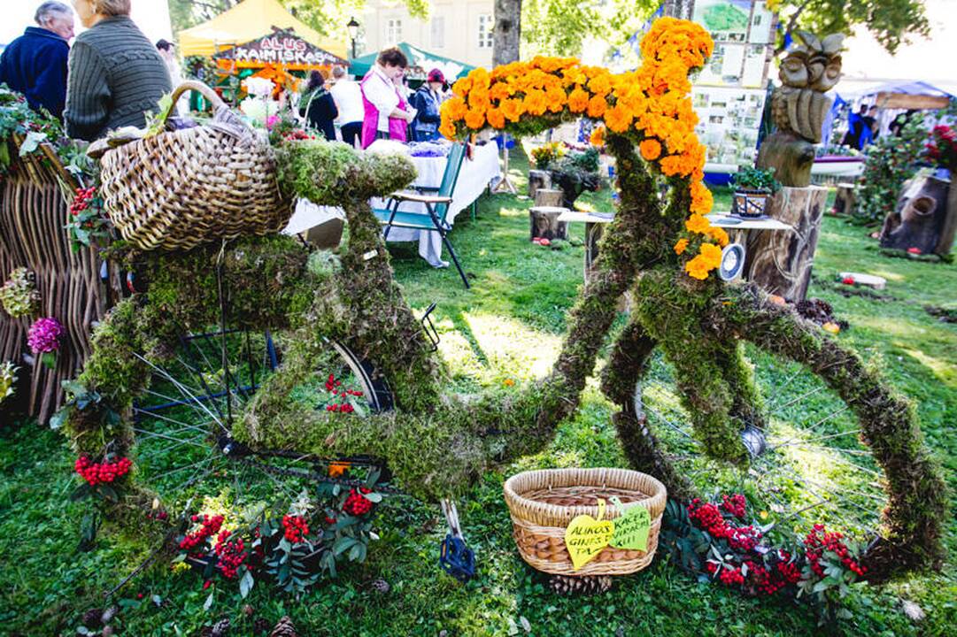 Derliaus šventė „Rudens sambariai 2013“