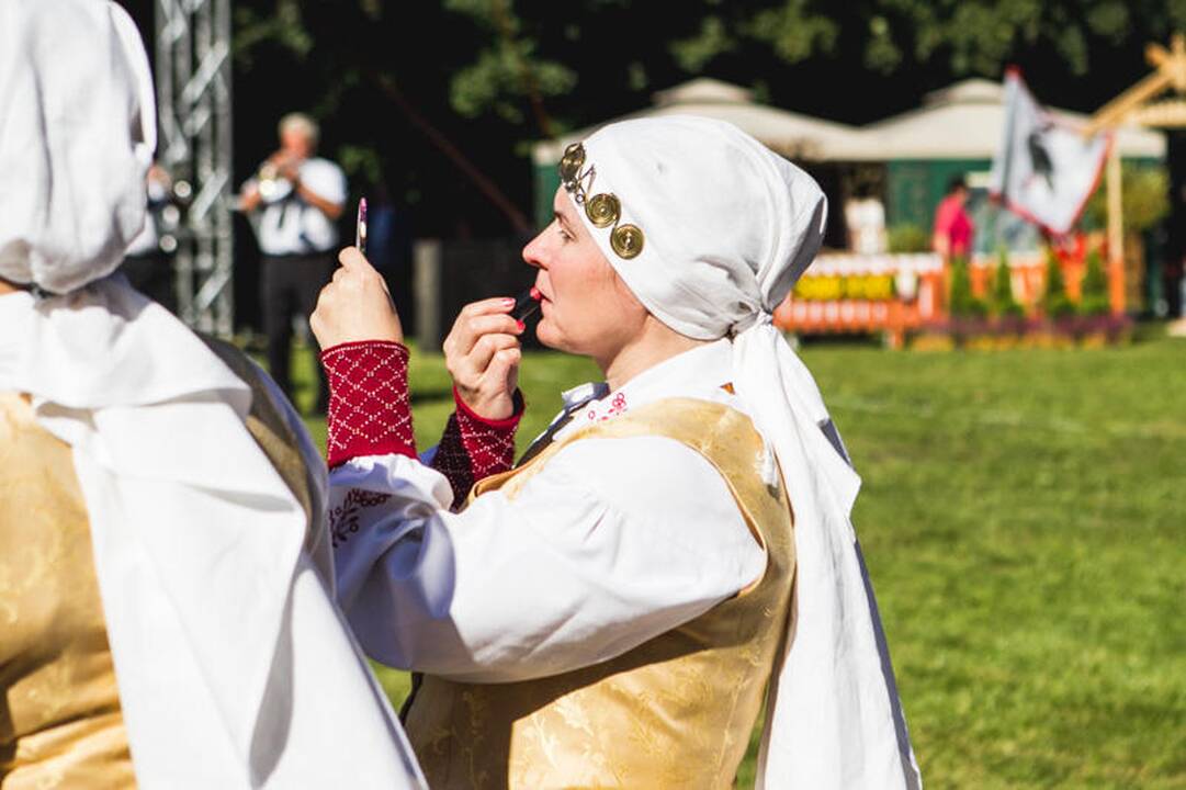 Derliaus šventė „Rudens sambariai 2013“