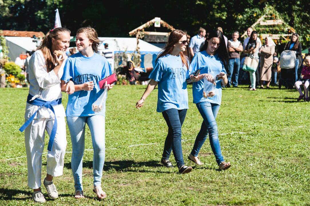 Derliaus šventė „Rudens sambariai 2013“