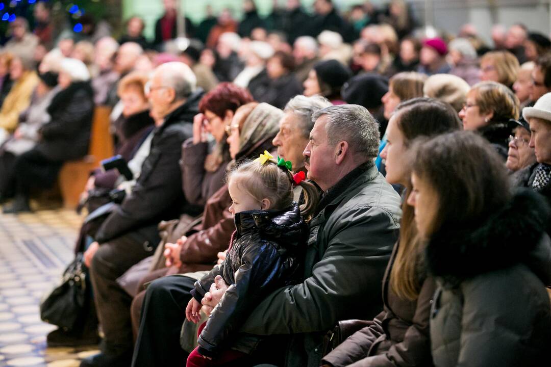 Įsteigta viešoji įstaiga „Soboro projektai“