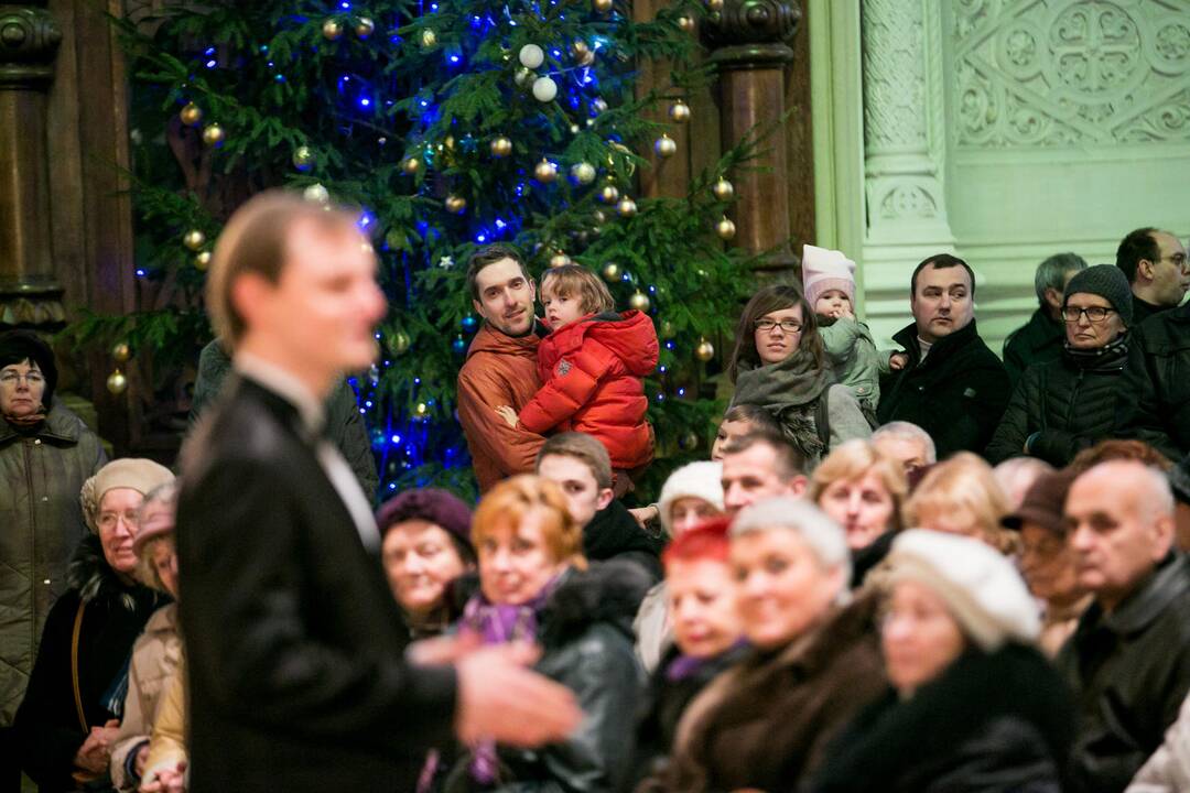 Įsteigta viešoji įstaiga „Soboro projektai“
