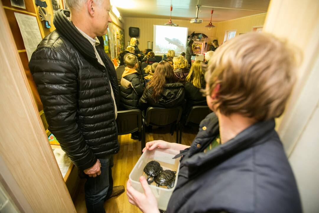 Vėžliukų žiema zoologijos sode