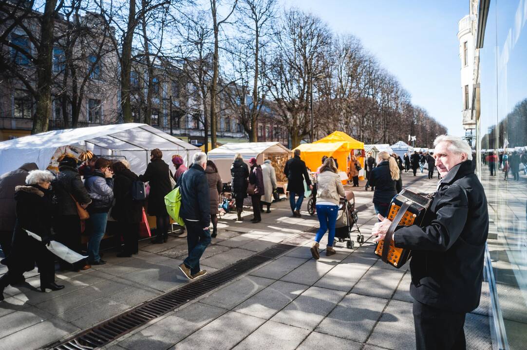 Kazimiero mugė jau šurmuliuoja Kauno centre