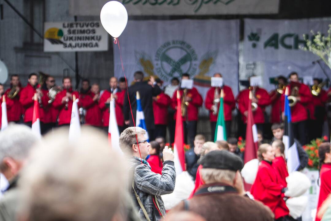 Kaune šurmuliuoja „Derliaus šventė 2013“
