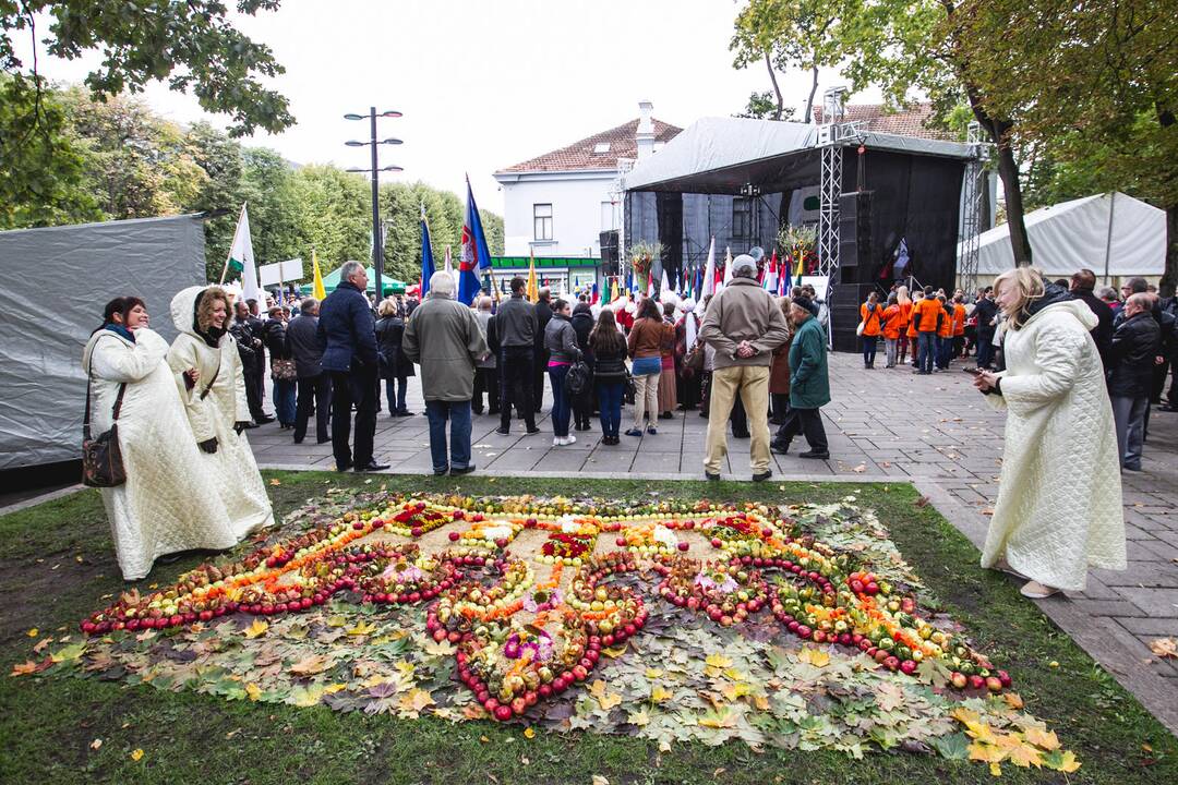 Kaune šurmuliuoja „Derliaus šventė 2013“