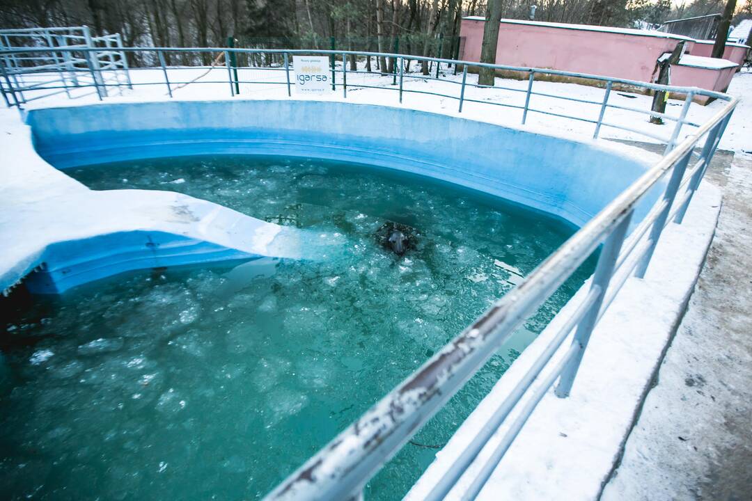 Ne visiems Lietuvos zoologijos sodo gyvūnams šaltis baisus
