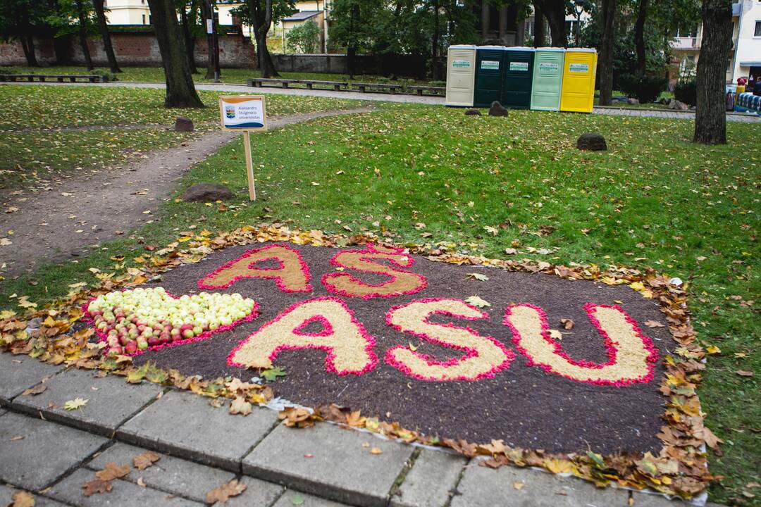Kaune šurmuliuoja „Derliaus šventė 2013“